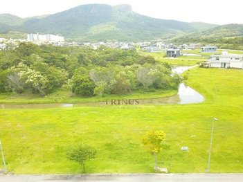 land_lot em Rua Lagoinha, Pedra Branca - Palhoça - SC