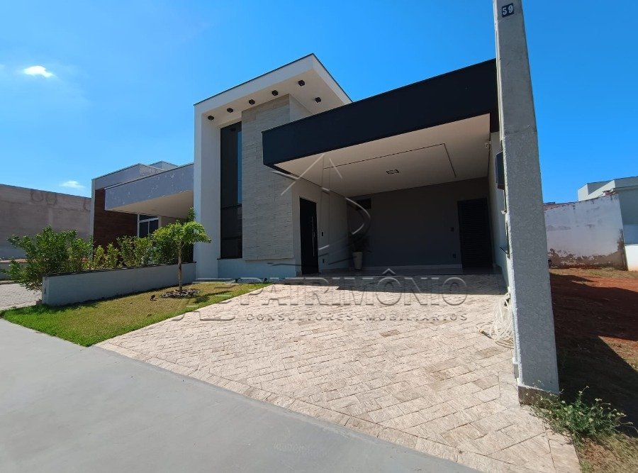 neto 01 foto