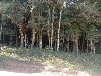land_lot em Rua Carlos Kusma, Campestre da Faxina - São José dos Pinhais - PR