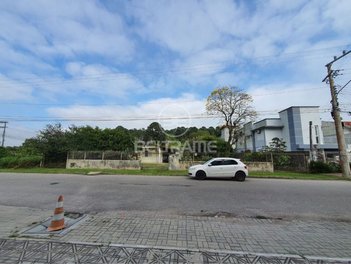 land_lot em Rua dos Eucaliptos, Canasvieiras - Florianópolis - SC