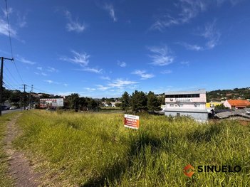 land_lot em Doutor João Daniel Hillebrand, Rondônia - Novo Hamburgo - RS
