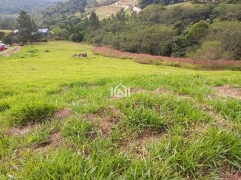 land_lot em Estrada Darcy Penteado, Vila Darcy Penteado (Mailasqui) - São Roque - SP