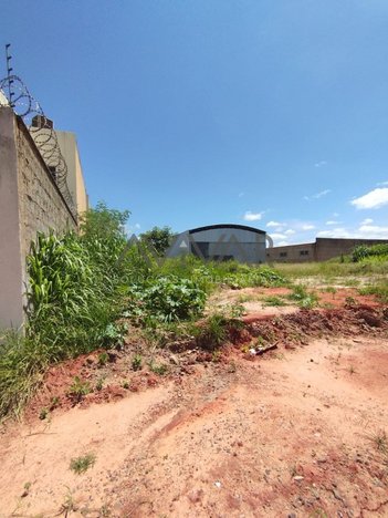 land_lot em Avenida Sandra Mara, Salinas - Salinas - MG