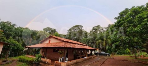 agricultural em Área Rural, Área Rural de Uberlândia - Uberlândia - MG