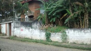 land_lot em Rua Miguel Maia, Horto Florestal - São Paulo - SP