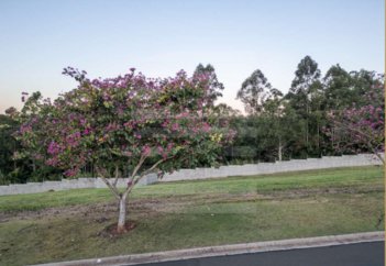 land_lot em Avenida Isaura Roque Quércia, Loteamento Residencial Pedra Alta (Sousas) - Campinas - SP