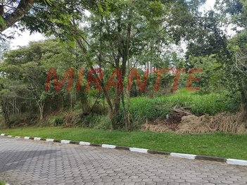 land_lot em Alameda Imperatriz Leopoldina, São Vicente - Mairiporã - SP