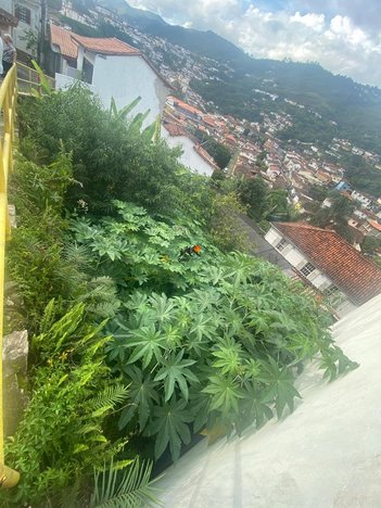 land_lot em Rua Doutor Antônio Ibrahim de Souza, Dores - Ouro Preto - MG