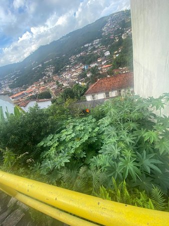 Cômodo Condomínio