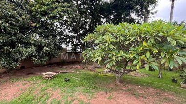 agricultural em Via Martim Lutero, Bairro dos Pires - Limeira - SP