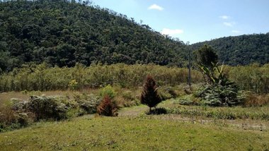 land_lot em Estrada do Brejal, Posse - Petrópolis - RJ
