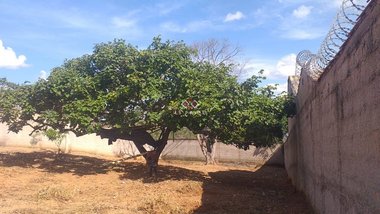 land_lot em Rua Vl Tres, Lagoa Mansões - Lagoa Santa - MG