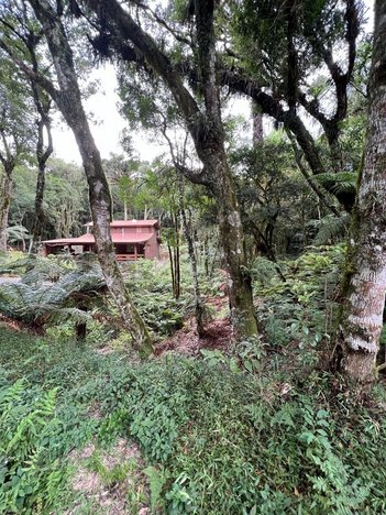 land_lot em Rua dos Alpes, São Francisco de Paula - São Francisco de Paula - RS
