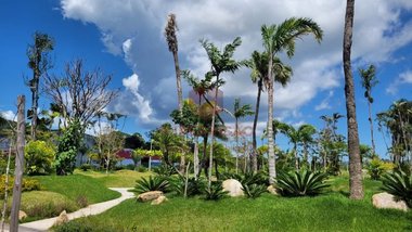 land_lot em Rodovia Armando Calil Bulos, Vargem Grande - Florianópolis - SC