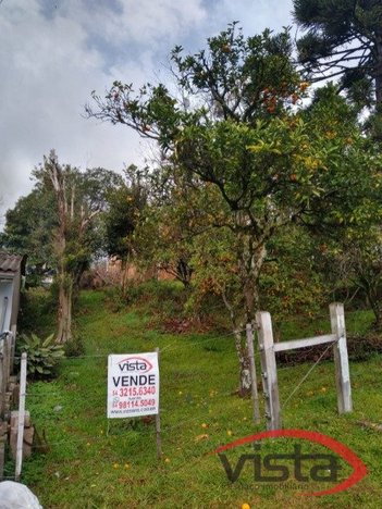 land_lot em RUA CLAUDINO JOSE COVOLAN, Reolon - Caxias do Sul - RS