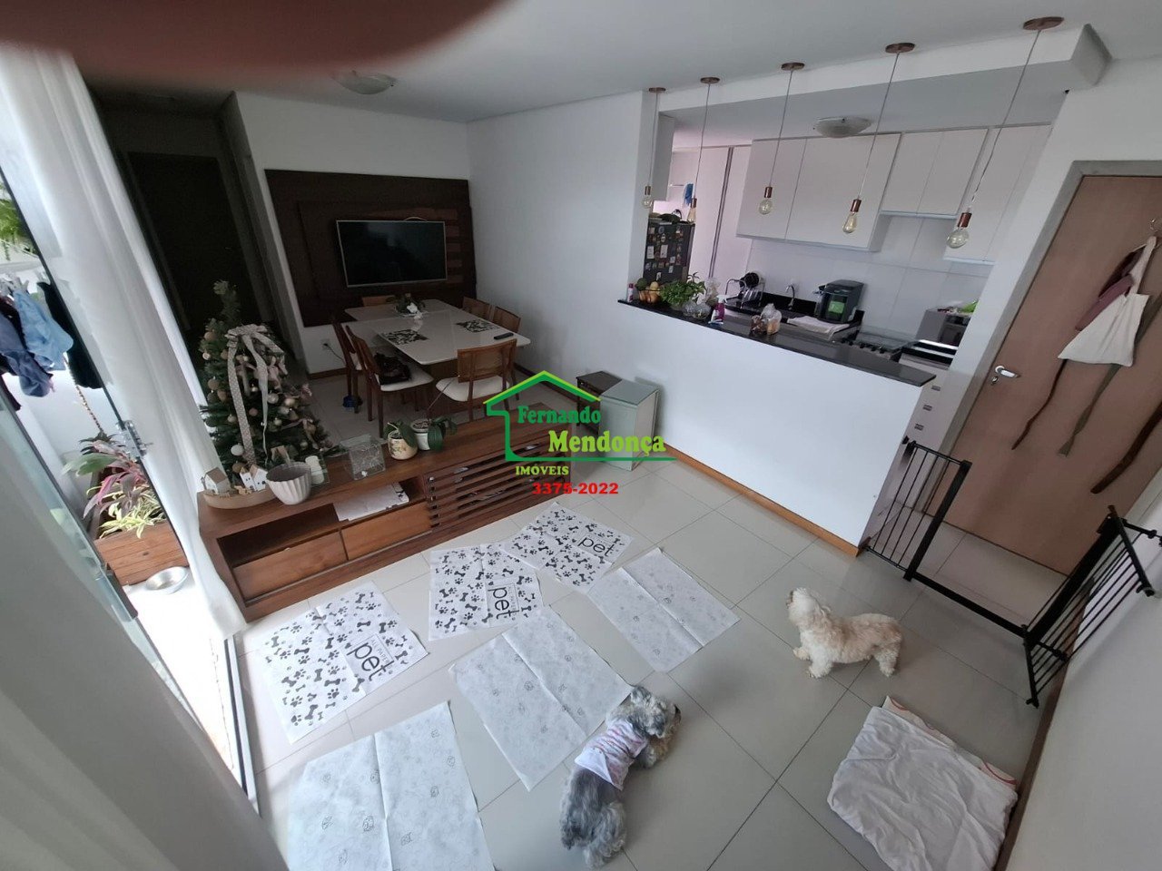Apartamento com 3 quartos — Padre Eustáquio, Belo Horizonte