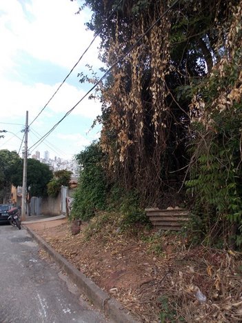 land_lot em Rua Carlos Muzzi, Palmeiras - Belo Horizonte - MG