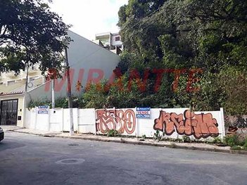 land_lot em Vitória Perpétua, Santana - São Paulo - SP