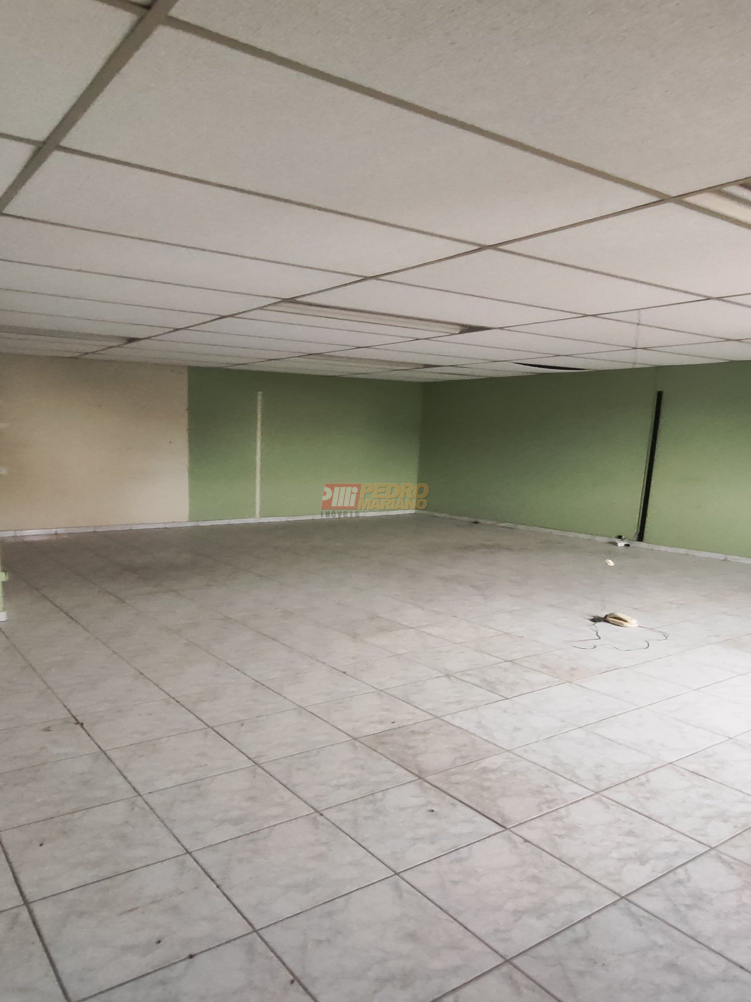 WhatsApp Image 2024-11-07 at 13.51