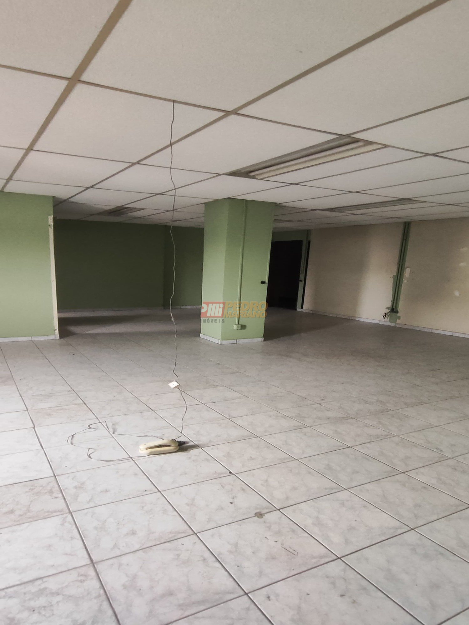 WhatsApp Image 2024-11-07 at 13.51