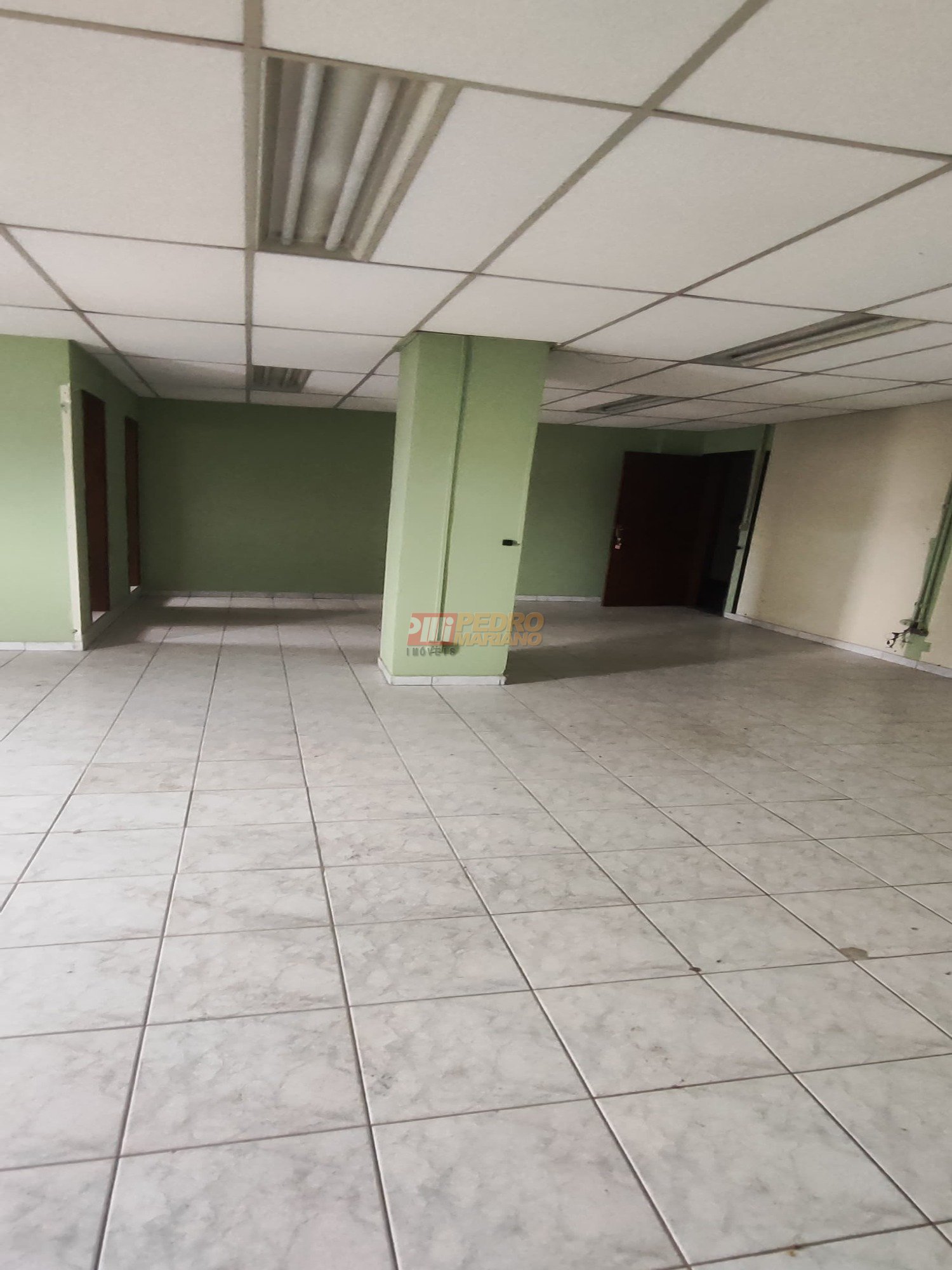 WhatsApp Image 2024-11-07 at 13.51