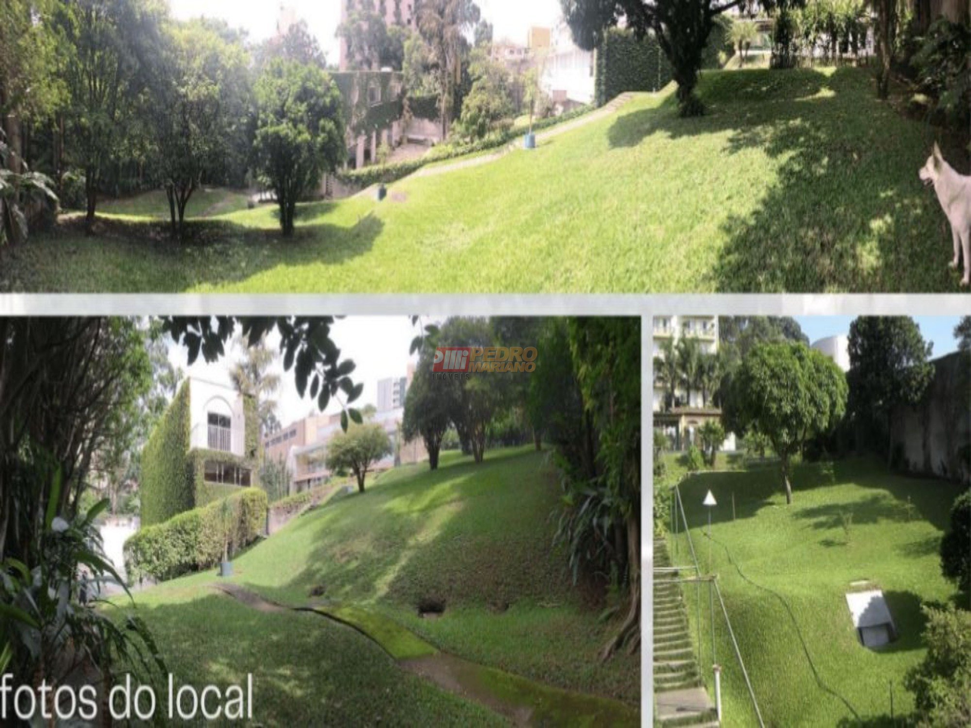 7d6448e4-5204-49f7-ab66-d3246686d5e1