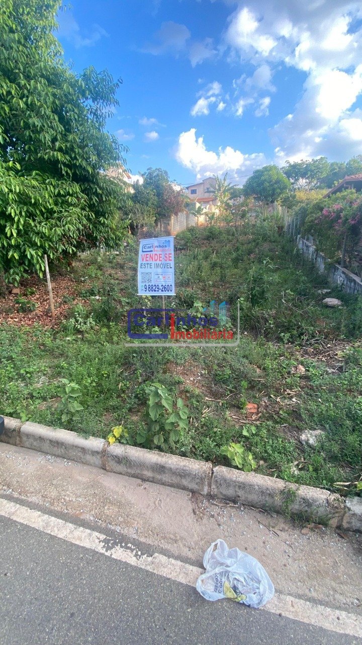 WhatsApp Image 2025-11-07 at 11.56