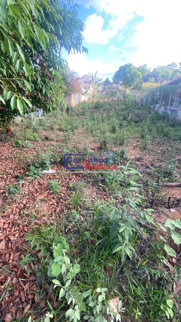 WhatsApp Image 2025-11-07 at 11.56