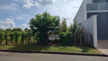 land_lot em Avenida Cenira Leme Andrade Schmidt, Jardim das Orquídeas - Ipeúna - SP