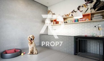 apartment em Rua General Irulegui Cunha, Jardim Independência - São Paulo - SP