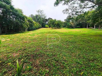 land_lot em Rua Tanger, Parque Silvino Pereira - Cotia - SP