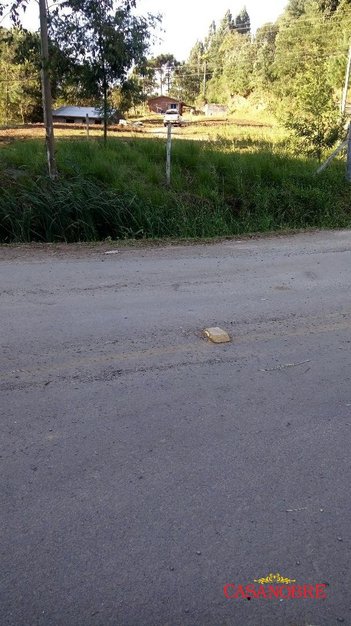 agricultural em Rua Luiz Tomazelli, Santa Lúcia do Piaí - Caxias do Sul - RS