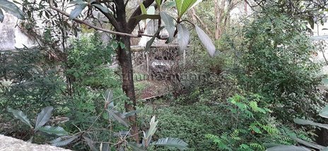 land_lot em MADALENA, Vila Madalena - São Paulo - SP