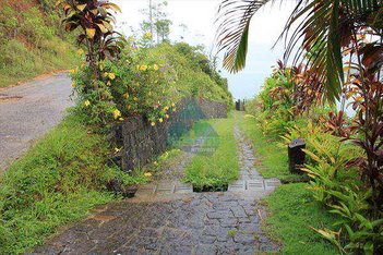 land_lot em Estrada Almada - UBT 371, Almada - Ubatuba - SP