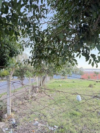 land_lot em Rua Otto Daudt, Feitoria - São Leopoldo - RS