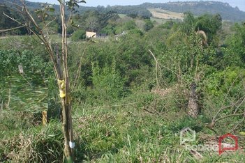 land_lot em Ademar de Barros, Fazenda São Borja - São Leopoldo - RS