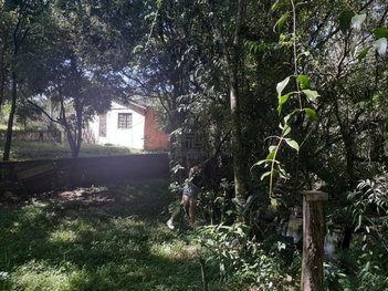 agricultural em Vale Machado, Centro - Santa Maria - RS