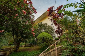 house em Rua Itabaquara, Pacaembu - São Paulo - SP