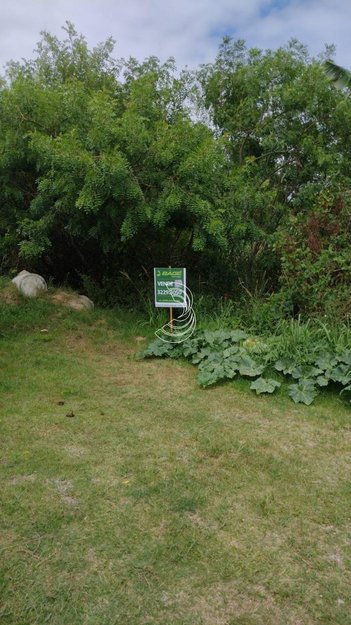 land_lot em Águeda, Laranjal - Pelotas - RS