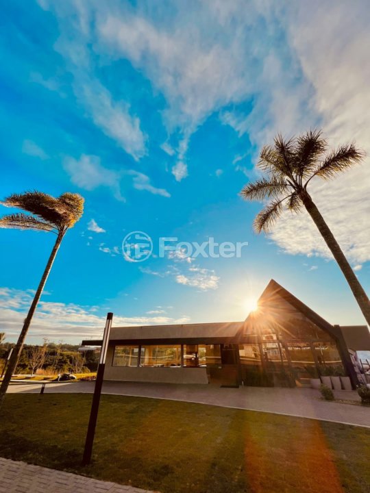 Parque Harmonia 1.jpeg