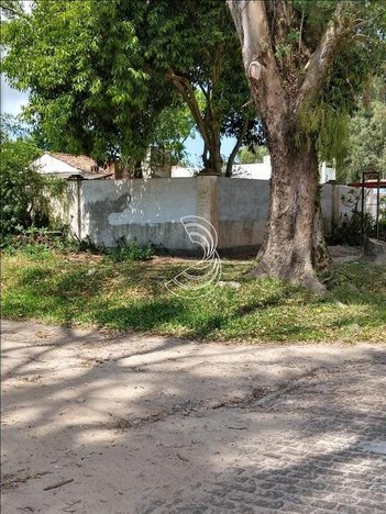 land_lot em Avenida José Maria da Fontoura, Laranjal - Pelotas - RS