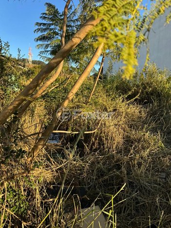 land_lot em Avenida Protásio Alves, Morro Santana - Porto Alegre - RS