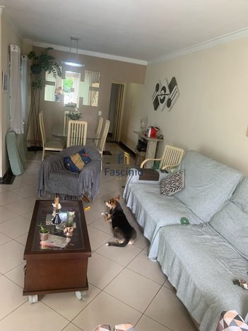 house em Rua Itapiru, Saúde - São Paulo - SP