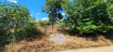 land_lot em Rua José Fonseca Pires, Fazenda Velha - Sete Lagoas - MG