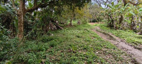 land_lot em Rua Rosa, Pantanal - Florianópolis - SC