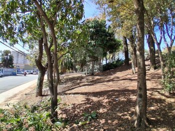 land_lot em Avenida Otávio Braga de Mesquita, Vila Flórida - Guarulhos - SP