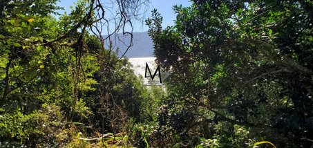 land_lot em Jornalista Manoel de Menezes, Barra da Lagoa - Florianópolis - SC