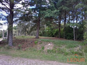 land_lot em Rua Maracajás, São Francisco de Paula - São Francisco de Paula - RS