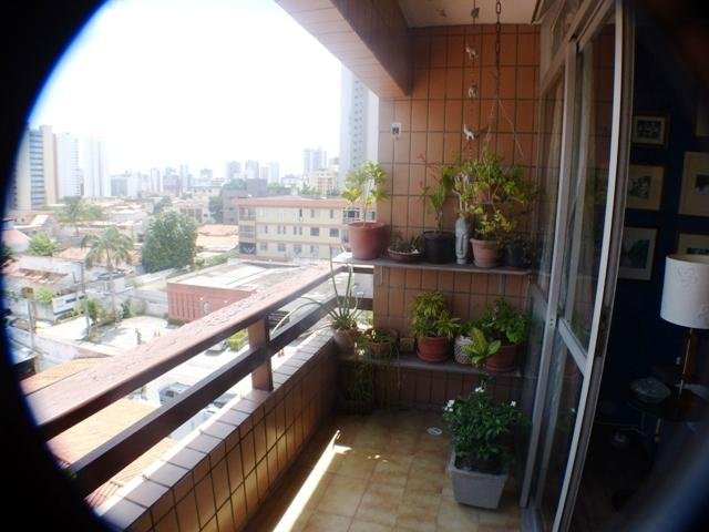 | Foto_migracao | 3