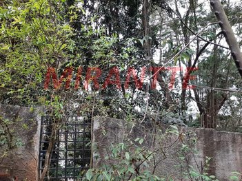 land_lot em Coronel Agostinho Da Fonseca, Tucuruvi - São Paulo - SP